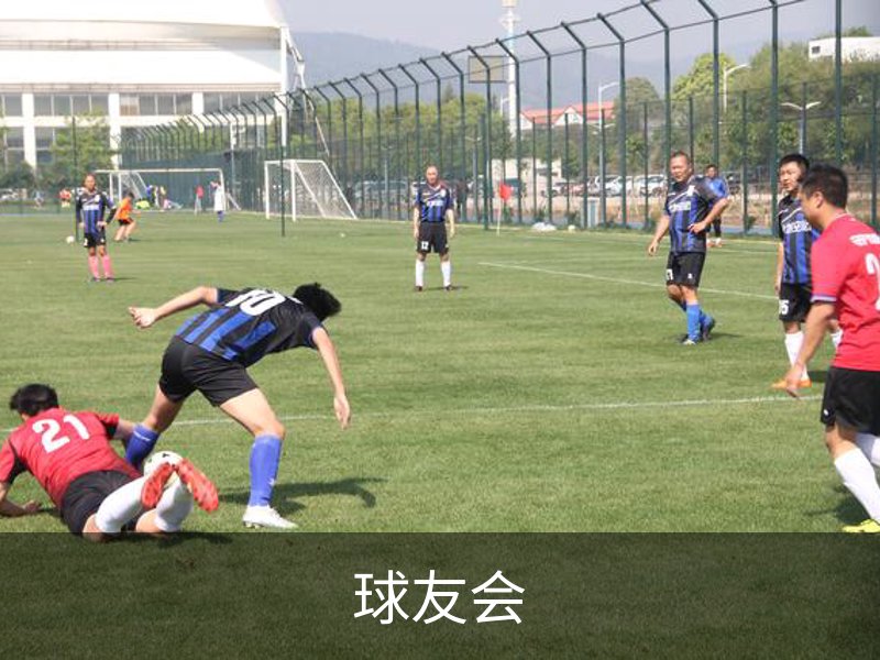 球友会概况